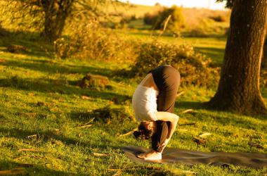 Taller Naturaleza 1 - #4