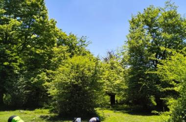 Taller Naturaleza 2 - #2