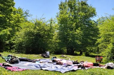 Taller Naturaleza 2 - #3