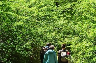 Taller Naturaleza 2 - #5