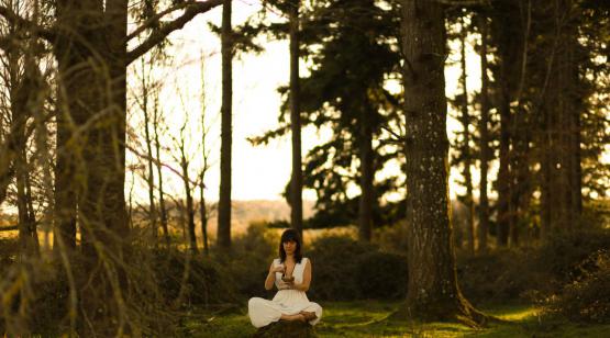 Yoga en la Naturaleza: un camino hacia el silencio y la calma profunda