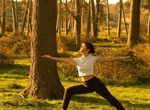 Curso: Yoga Suave